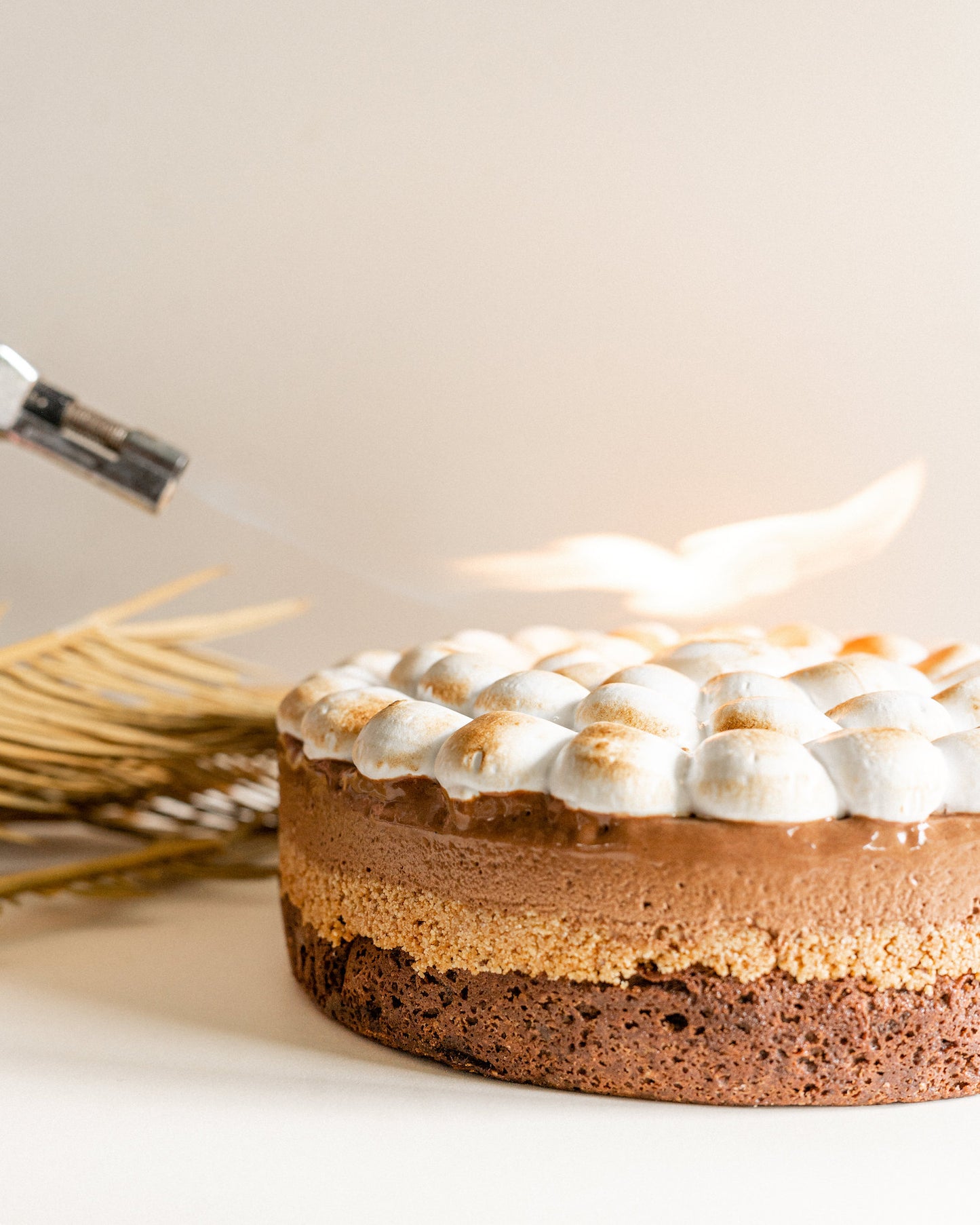 S'mores Layer Cake