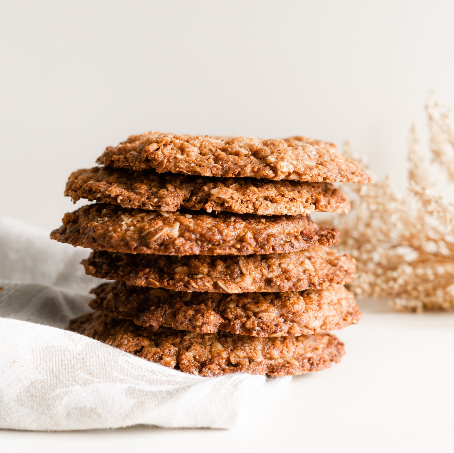 Galletas Healthy de Avena