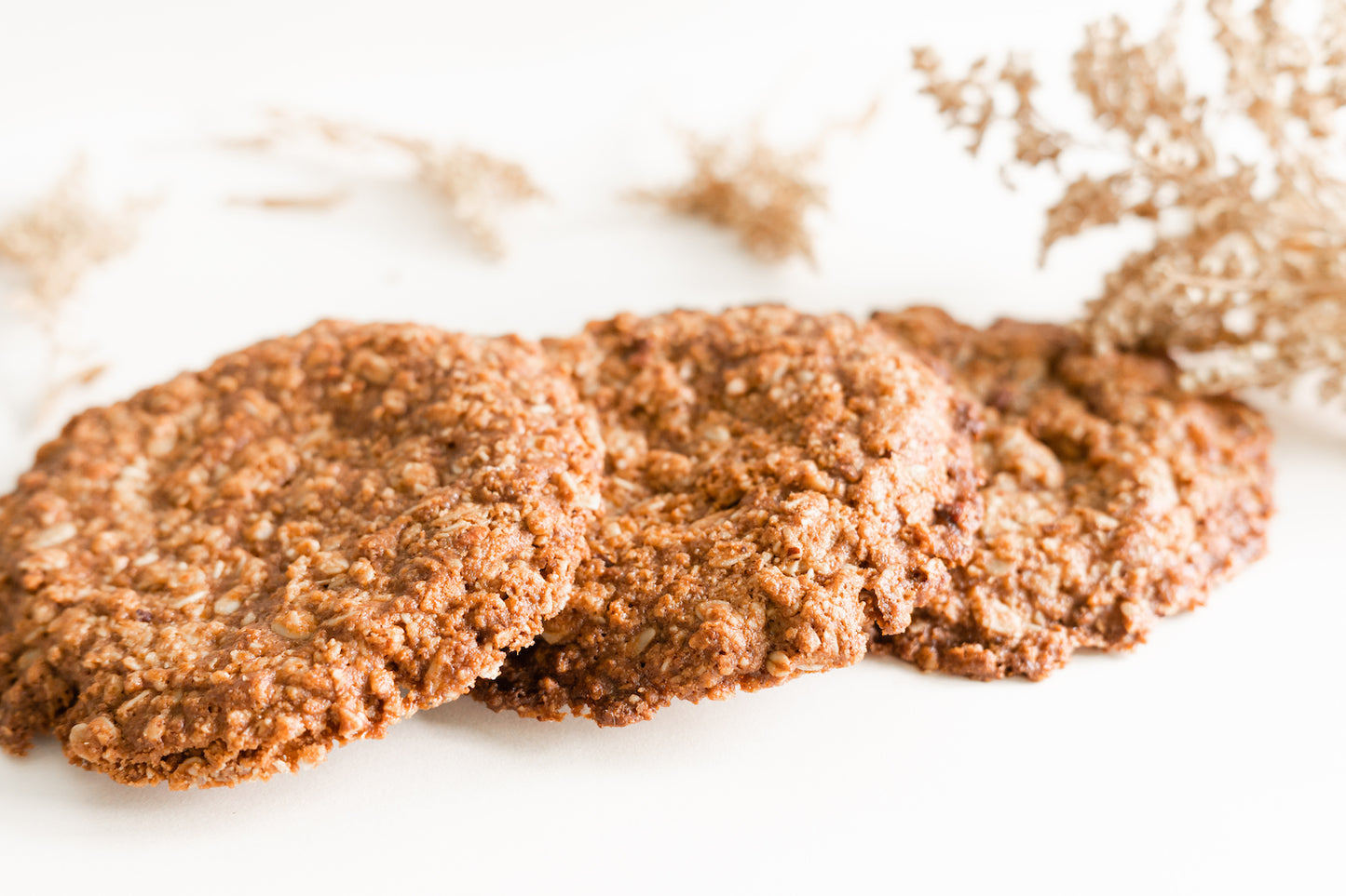 Galletas Healthy de Avena